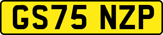 GS75NZP