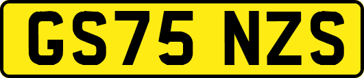 GS75NZS