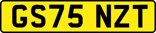 GS75NZT
