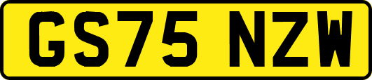 GS75NZW
