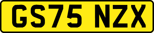 GS75NZX