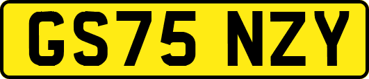 GS75NZY