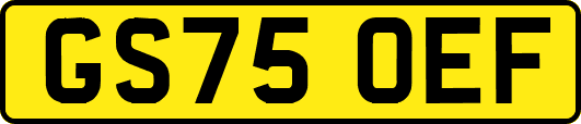 GS75OEF