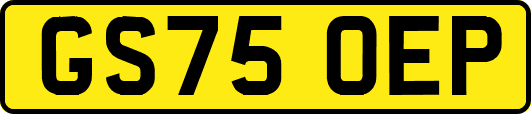 GS75OEP