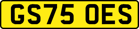 GS75OES