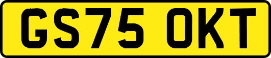 GS75OKT