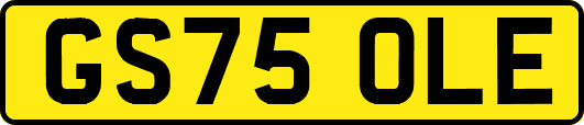 GS75OLE
