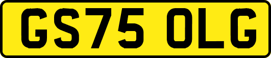 GS75OLG