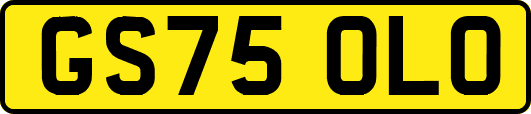 GS75OLO