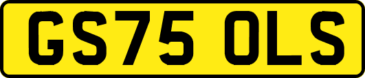 GS75OLS