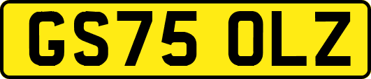 GS75OLZ