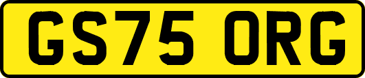 GS75ORG