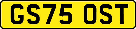 GS75OST