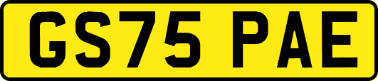 GS75PAE