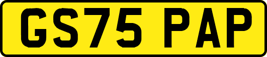 GS75PAP