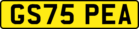 GS75PEA