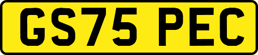 GS75PEC