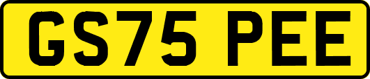GS75PEE