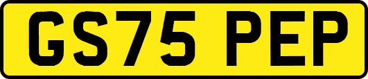 GS75PEP
