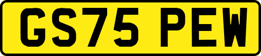 GS75PEW