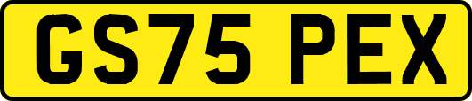 GS75PEX