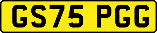 GS75PGG