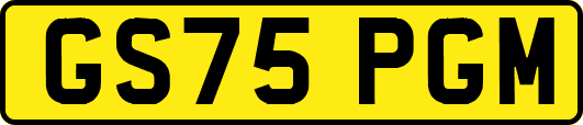 GS75PGM