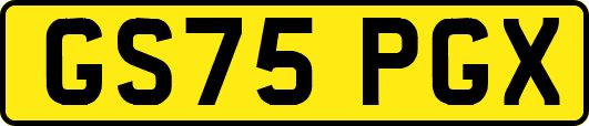 GS75PGX