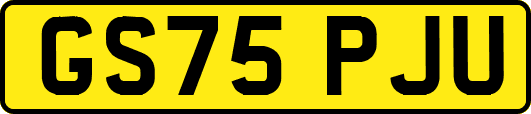 GS75PJU