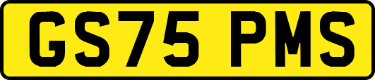 GS75PMS