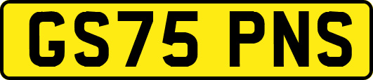 GS75PNS