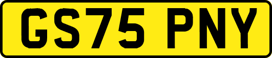 GS75PNY
