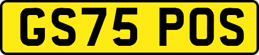 GS75POS