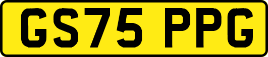 GS75PPG