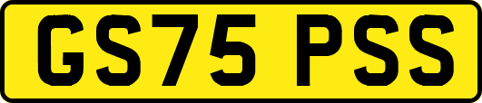GS75PSS