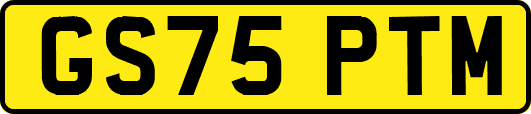 GS75PTM