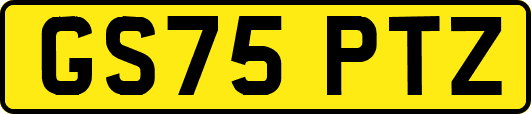 GS75PTZ