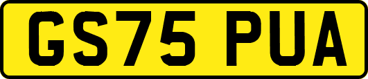 GS75PUA