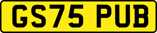 GS75PUB