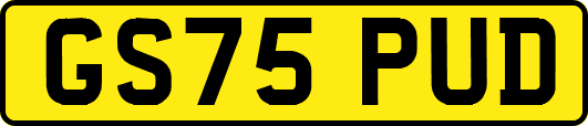 GS75PUD