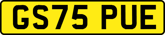 GS75PUE