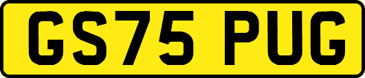 GS75PUG
