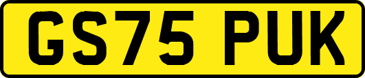 GS75PUK