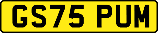 GS75PUM