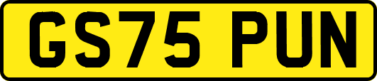 GS75PUN