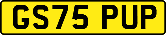 GS75PUP