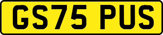 GS75PUS