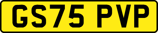 GS75PVP