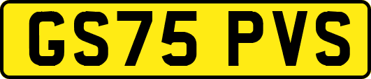 GS75PVS