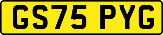 GS75PYG